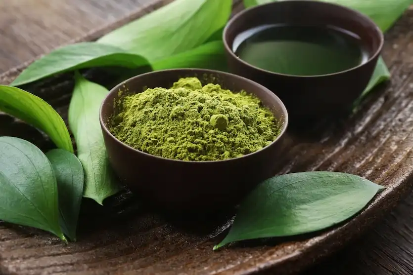 Green Tea Extract Powder Benefits: Antioxidant, Fat-Burning, and More